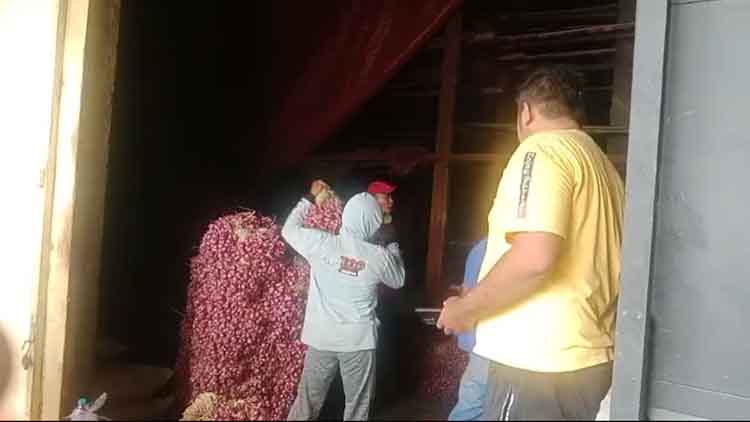 GUDANG: BUMDes Sejahtera juga membuka penangkaran bibit bawang merah bagi para petani Desa Pabean.