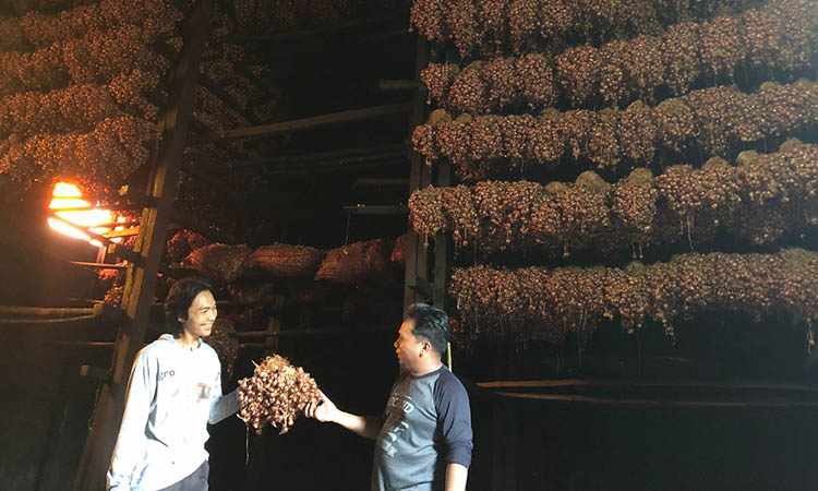 MELIMPAH: Sejumlah bibit bawang merah di gudang BumDes Ngepoh, Kecamatan Dringu, Kabupaten Probolinggo