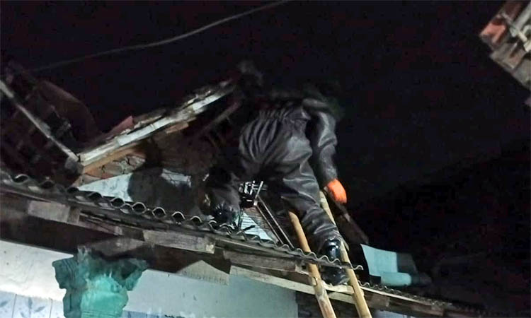 TANGANI: Petugas Damkar Kabupaten Pasuruan saat melakukan penanganan tawon vespa di salah satu rumah warga.