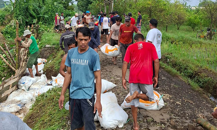 GOTONG ROYONG: Sejumlah warga Desa Brambang, Kecamatan Keboncandi, Kabupaten Pasuruan saat gotong royong menangani tepian jalan yang ambrol.
