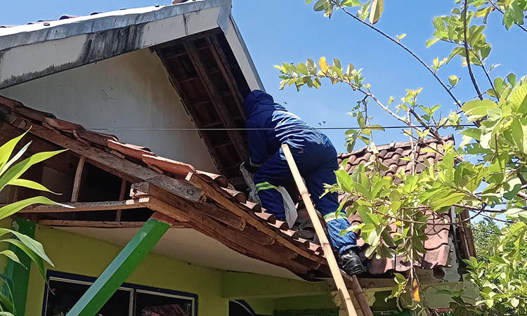 DIEVAKUASI: Damkar Kabupaten Probolinggo mengevakuasi sarang tawon vespa sebesar helm dari rumah warga Dusun Krajan, Desa Blado Kulon, Kecamatan Tegalsiwalan.