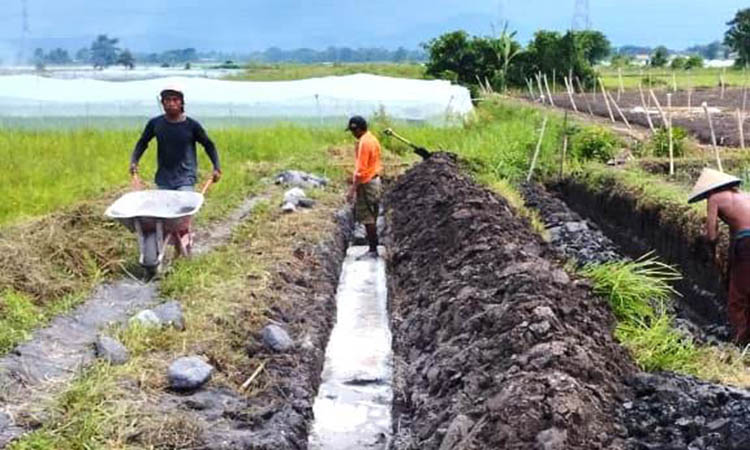 JALAN LAHAN PERTANIAN: Sejumlah pekerja sedang membangun jalan usaha tani di Blok Kolpoh masuk Dusun Mawar beberapa waktu lalu.