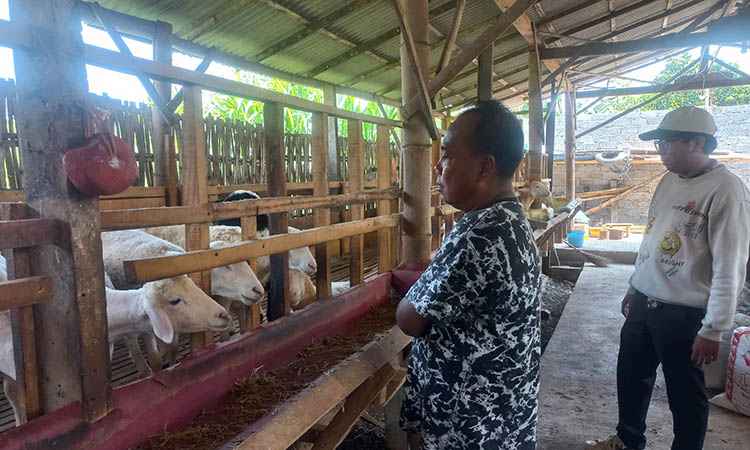 KETAHANAN PANGAN: Operator Desa Kedung Dalem, Ahmad Danial (kanan) saat di lokasi kandang kambing yang menjadi ketahanan pangan di Desa Kedung Dalem, Kecamatan Dringu.