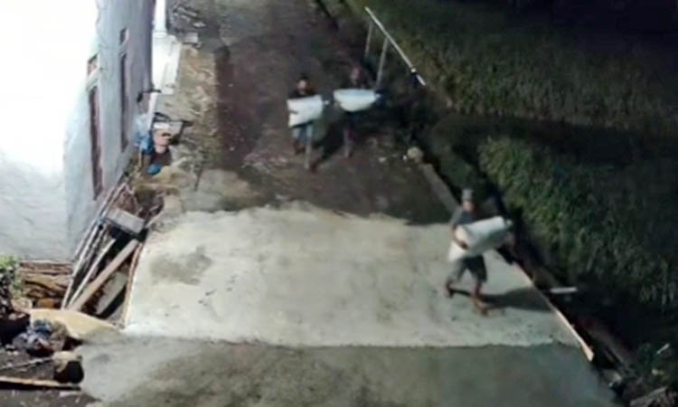 GOTONG: Terduga pelaku pencurian jagung yang terekam CCTV. Mereka menggotong tujuh karung jagung milik korban.