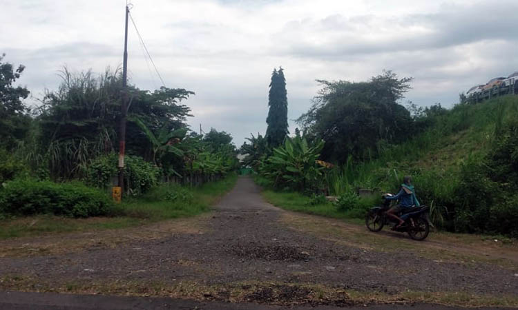 AKSES: Lokasi menuju makam Mbah Suryopati di Sumberdawesari, Kecamatan Grati. Ia dikenal sebagai kiai karismatik yang banyak melahirkan ulama.