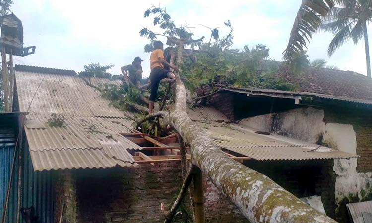 KENA ATAP: Pohon pete tumbang menimpa rumah di Dusun Karangrejo, Desa Tegalwatu, Kecamatan Tiris akibat cuaca ekstrem.