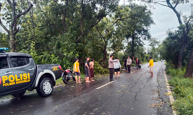 EVAKUASI: Petugas dan warga saat mengevakuasi pohon tumbang di tepi jalan Bangil-Sukorejo, Dusun Doyong, Desa Kenduruan, Kecamatan Sukorejo.