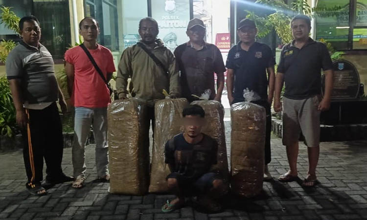 TAK BERKUTIK: Jupriyanto ditangkap polisi setelah mencuri tembakau siap jual di Desa Petunjungan, Kecamatan Paiton.
