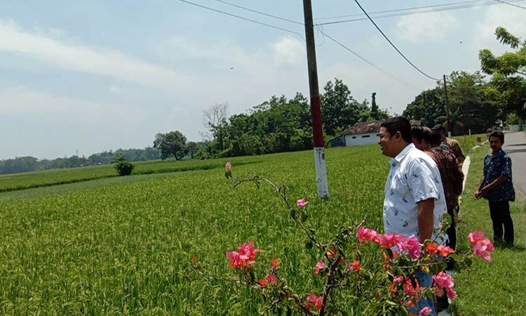SAWAH: Kepala Desa Sumberan, Hasyim Said Mansur (kemeja putih) saat berada di lahan pertanian warga yang dulunya dialiri sumber mata air besar di desa tersebut.
