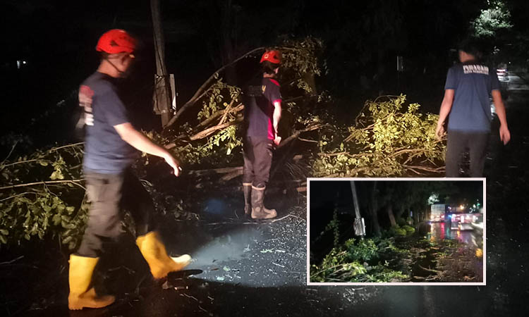 GERAK CEPAT: Personel BPBD membersihkan batang dan ranting pohon yang tumbang di Jalan HOS Cokroaminoto, Sabtu (27/12) malam.