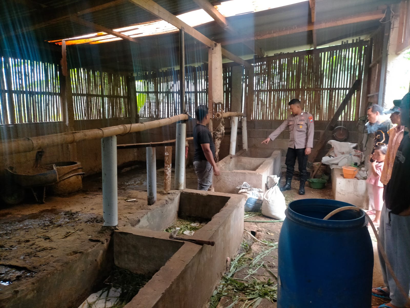 TKP: Polisi saat meninjau kandang tempat 3 ekor sapi limousin milik warga Prigen Pasuruan dicuri.