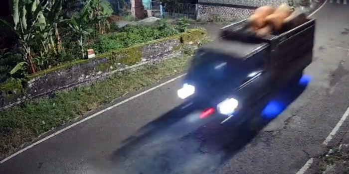 TEREKAM CCTV: Kawanan pencuri saat membawa kabur 3 ekor sapi dengan menggunakan pikap L-300. (CCTV)