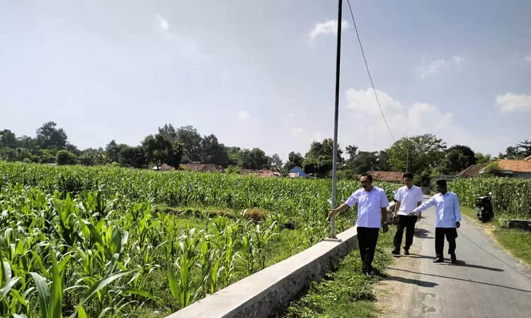 SUBUR: Selain gerabah, sektor pertanian juga menjadi penopang ekonomi warga. Terutama padi dan jagung.