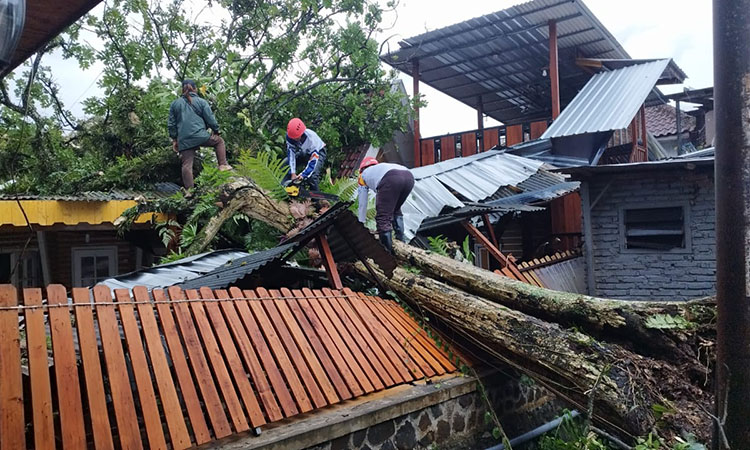 Petugas saat memotongi pohon besar yang tumbang dan menimpa bangunan kafe di Prigen Pasuruan.
