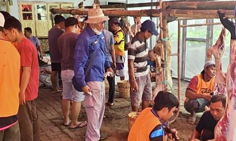 DIPOTONG: Petugas Dinas Pertanian Kabupaten Probolinggo mengecek pemotongan hewan di rumah warga. Hingga tutup tahun perolehan retribusi RPH belum sesuai harapan.