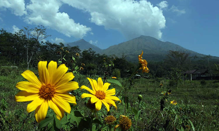 EKSOTIK: Pemandangan Gunung Arjuno yang begitu menawan. Sejauh ini, jalur pendakian belum bisa dibuka, lantaran pertimbangan keselamatan.