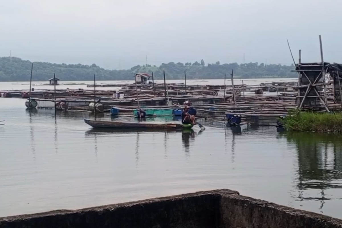 MENGKHAWATIRKAN: Kerambah budidaya ikan di kawasan Ranu Grati. Para petani kerambah dibuat tak nyaman, seiring dengan banyaknya ikan-ikan yang mengambang.