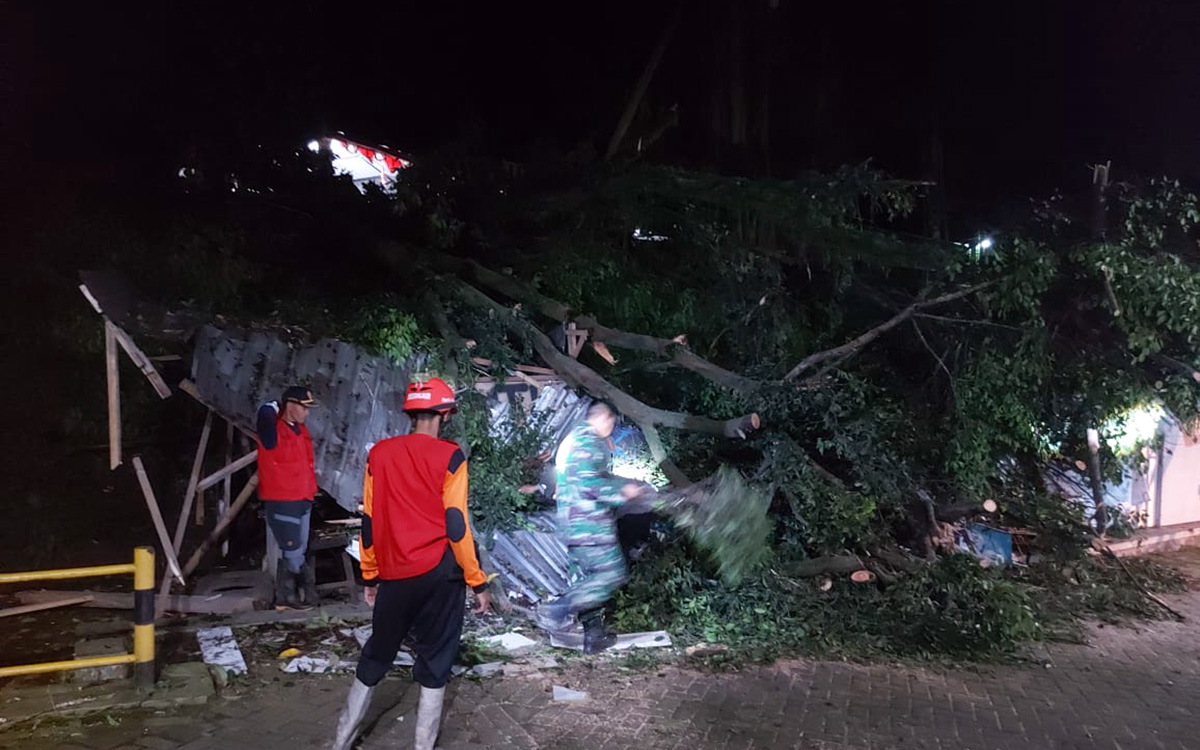 EVAKUASI: Petugas saat memotong sejumlah ranting pohon beringin yang tumbang dan menimpa sejumlah bangunan di Sukoreno, Prigen.