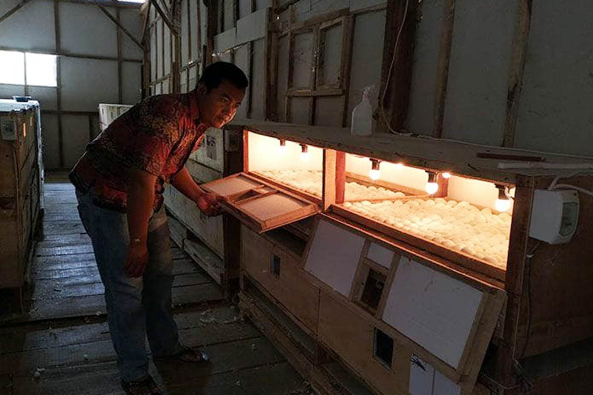 PENUNJANG EKONOMI: Sektor peternakan menjadi salah satu penunjang ekonomi warga setempat.