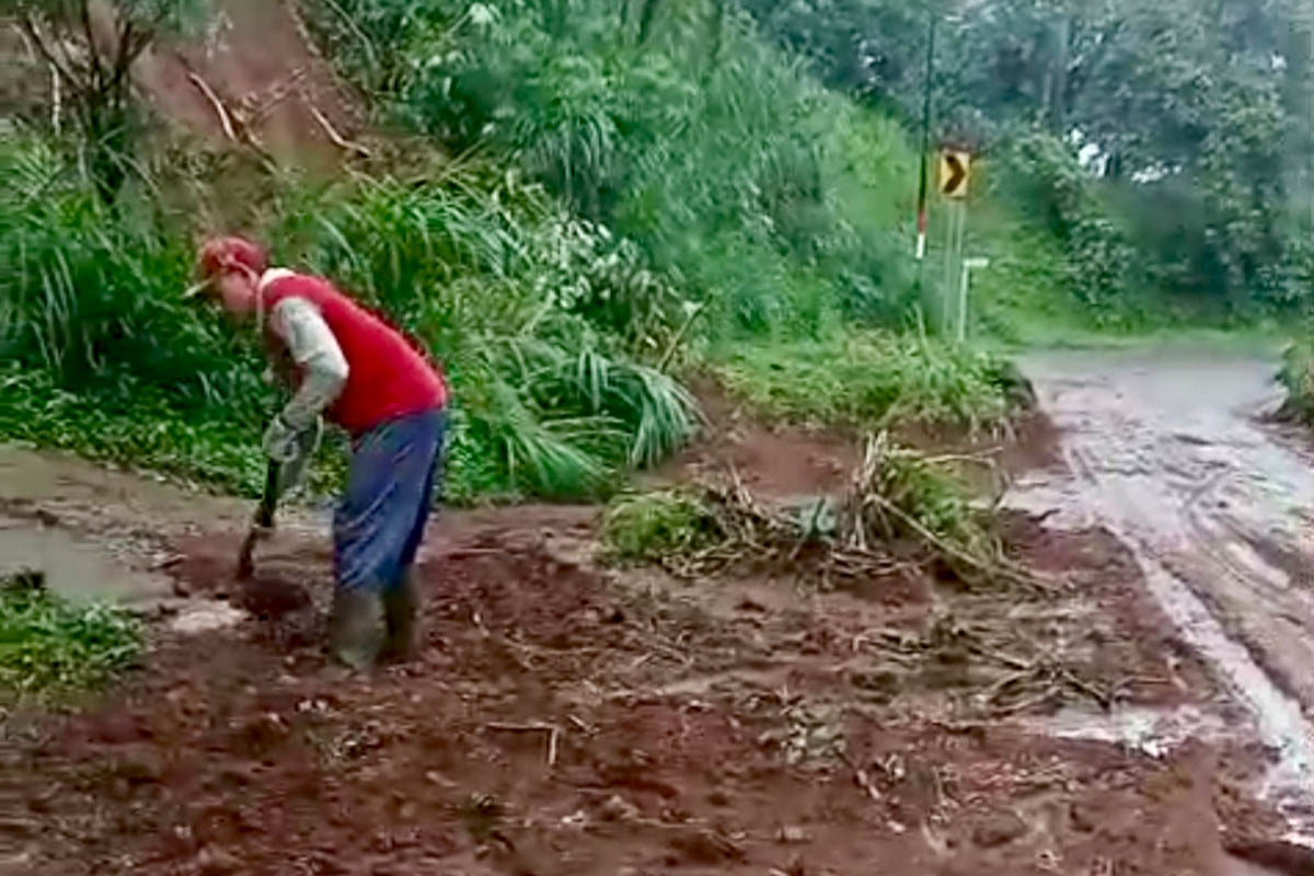 SUDAH DIBERSIHKAN: Tebing di Dusun Geting, Desa Negororejo, Kecamatan Lumbang longsor setelah diguyur hujan deras dengan durasi yang lama.