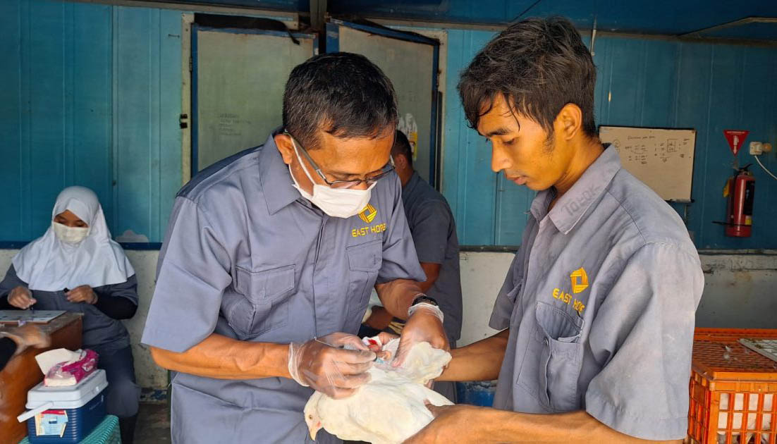 HARUS RUTIN: Tim dari UPT Labkeswan Malang bersama Dinas Peternakan Provinsi Jawa Timur dan Dinas Pertanian Kabupaten Probolinggo melakukan uji pullorum di PT Ishub Desa Bimo Kecamatan Pakuniran.