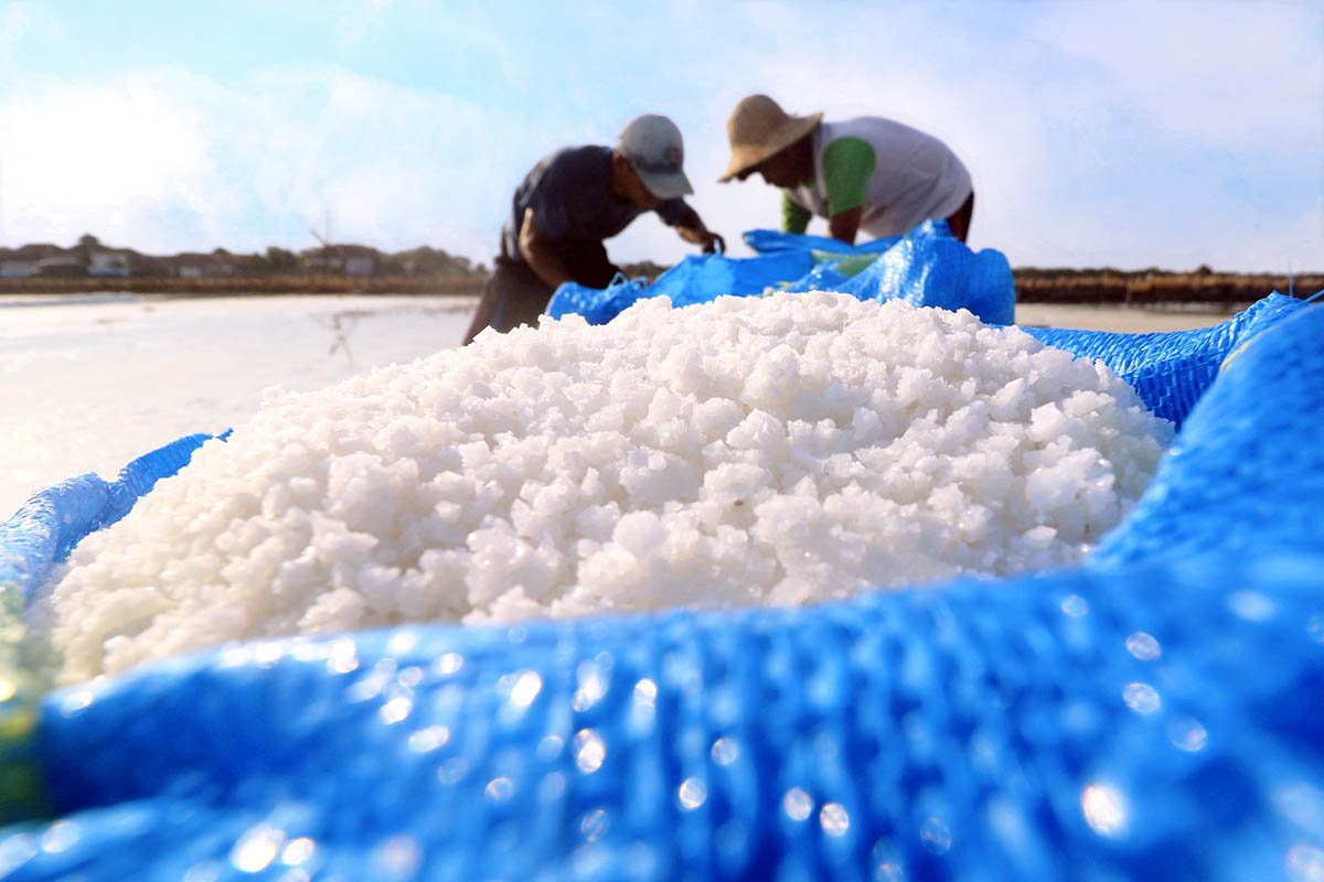 GARAP: Petani garam saat memproses produksi garam tahun lalu. Sepanjang 2025, produksi garam di Kota Pasuruan anjlok.