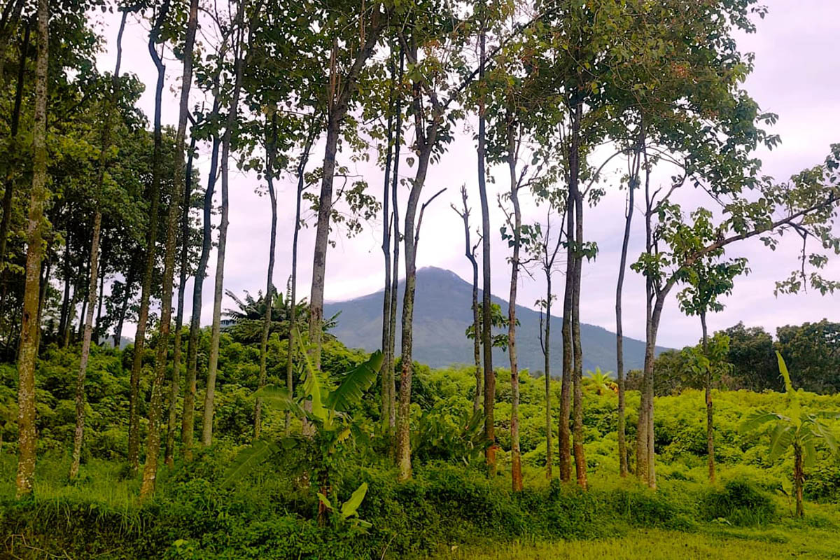 FAVORIT PENDAKI: Gunung Arjuno yang menjadi lokasi favorit bagi pendaki untuk menyalurkan hobinya. Sejauh ini, kawasan setempat masih ditutup untuk pendaki, imbas cuaca ekstrem.