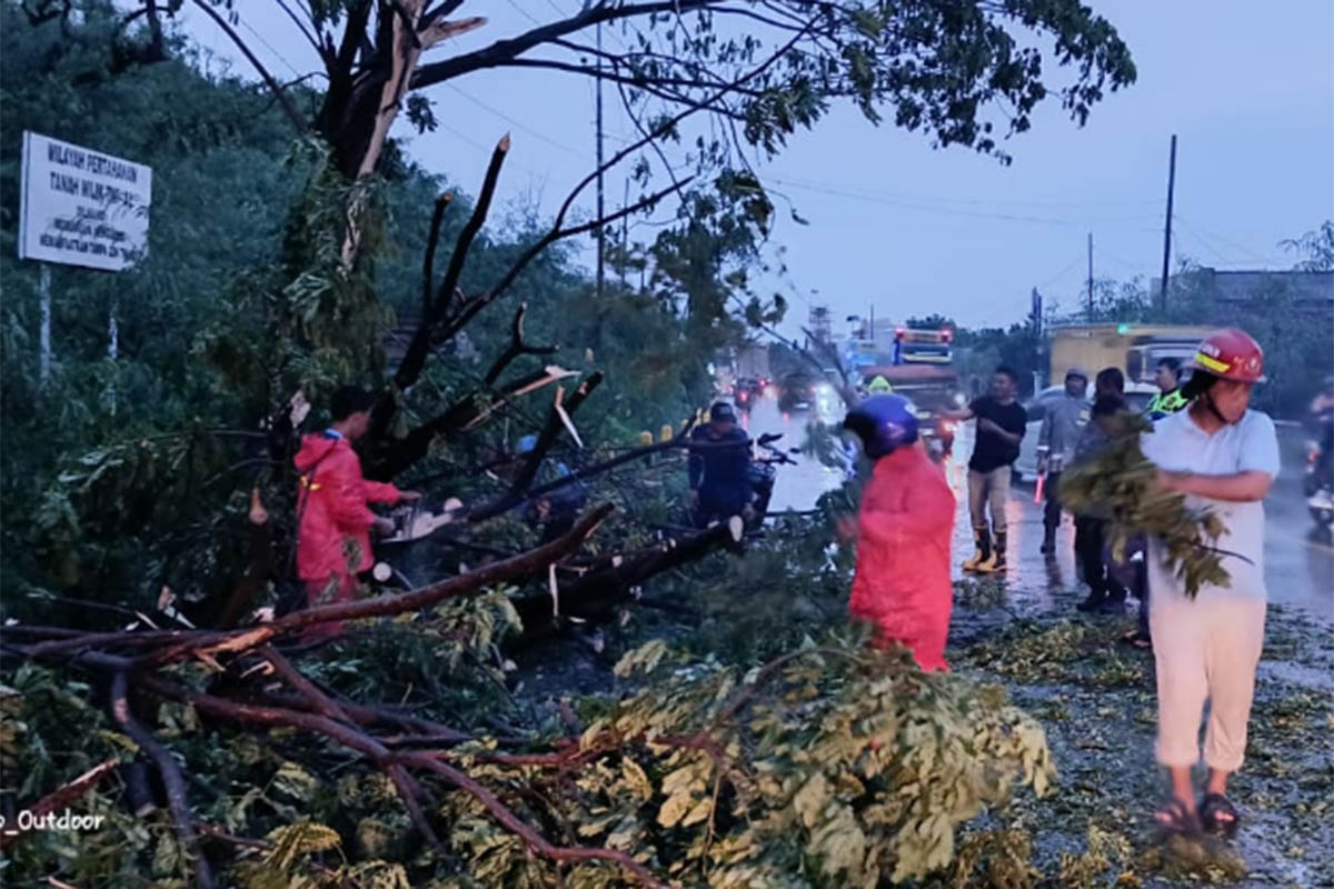 GERAK CEPAT: Personel BPBD dan damkar mengevakuasi ranting pohon setelah tumbang.