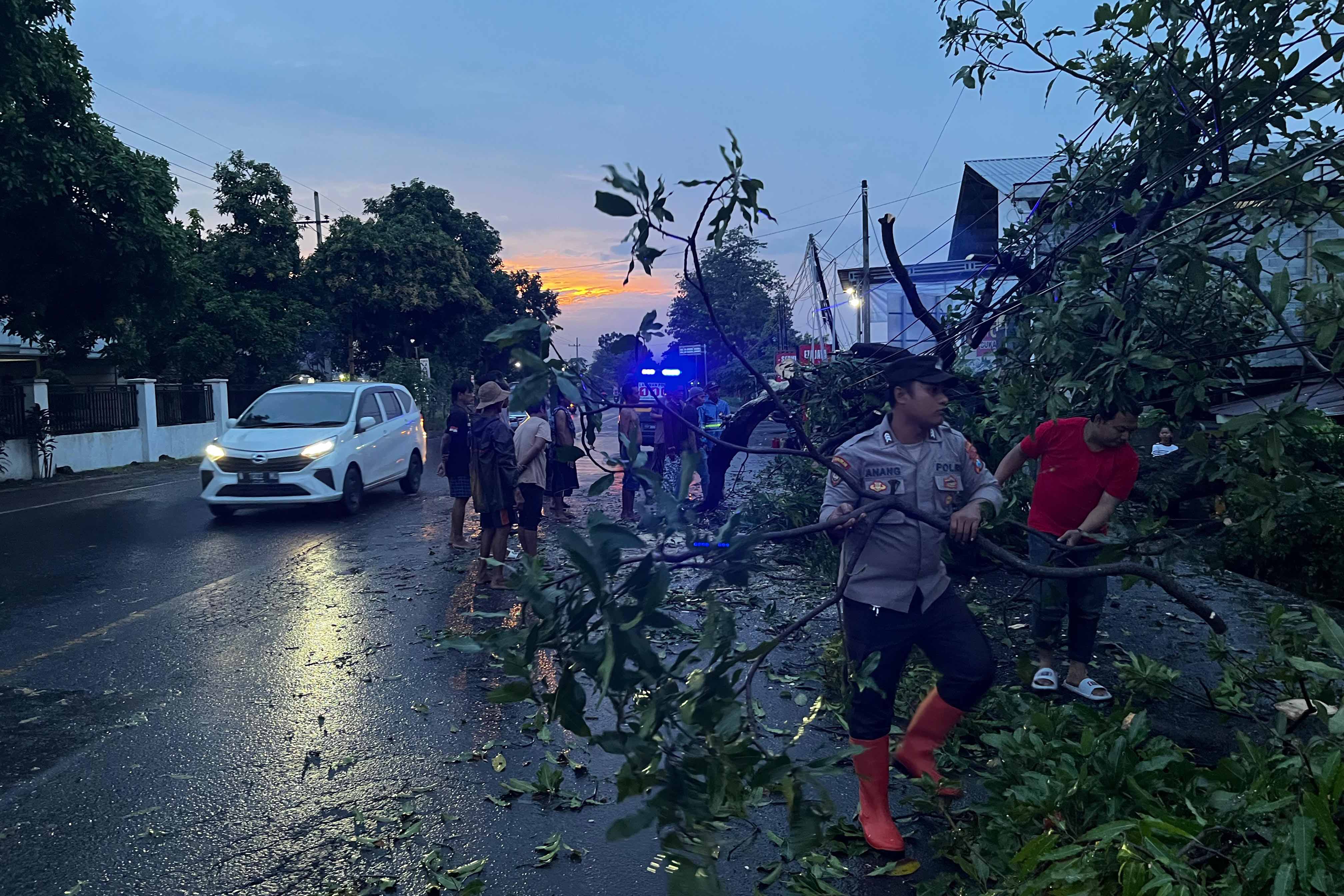 EVAKUASI: Petugas kepolisian bersama instansi terkait dan masyarakat mengevakuasi pohon tumbang di ruas Jalan Pantura, Kecamatan Paiton.