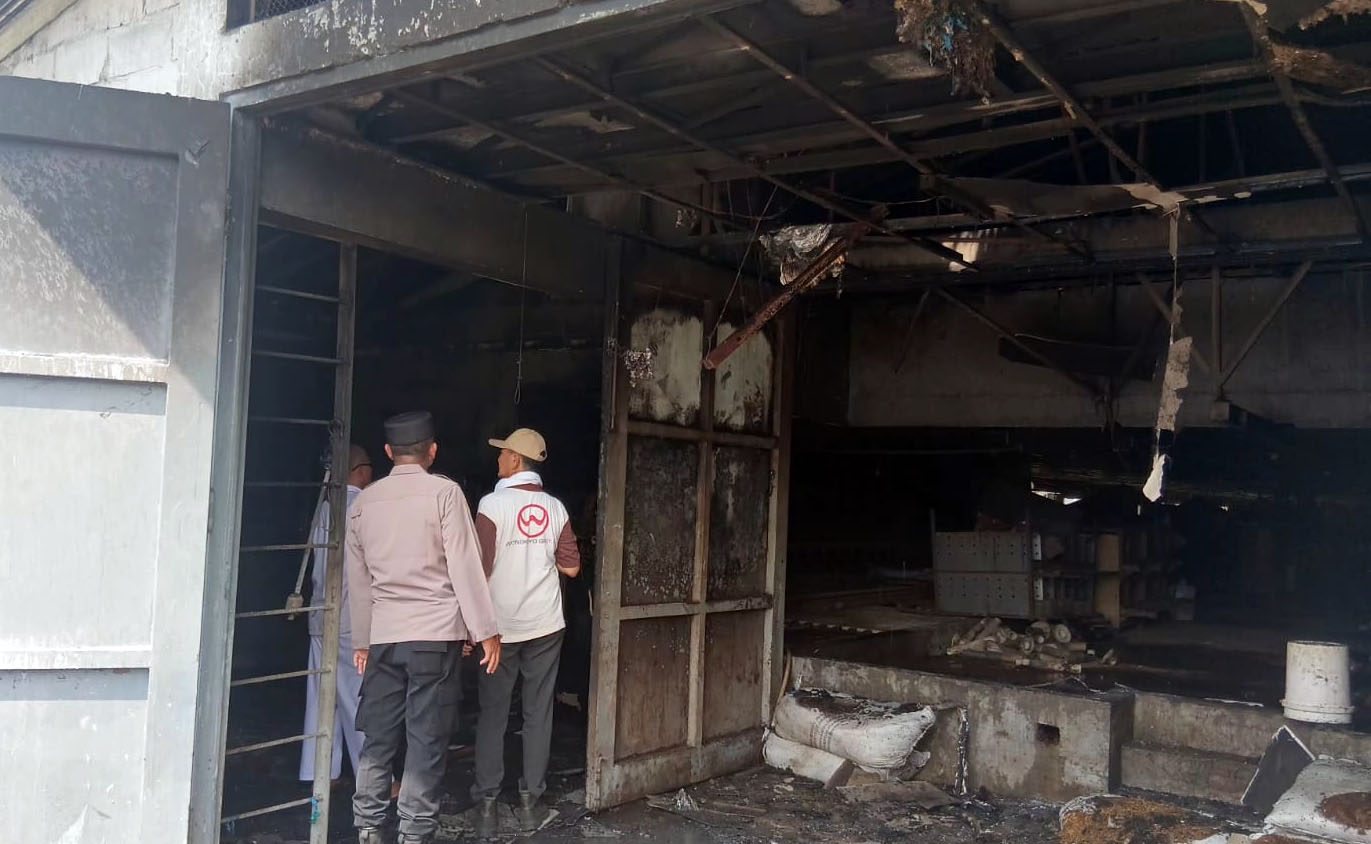 HANGUS: Kondisi kandang ayam milik PT Tirto Sarana Pangan di Dusun Babakan, Karangmenggah, Wonorejo, Kabupaten Pasuruan yang terbakar.