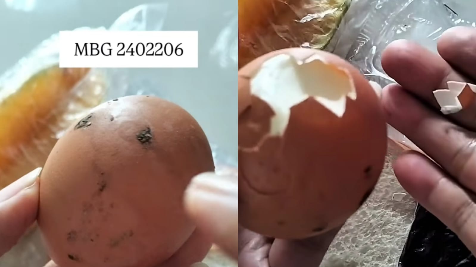 Viral MBG di Magetan, menu telur rebus masih banyak kotoran ayam di kulitnya. 