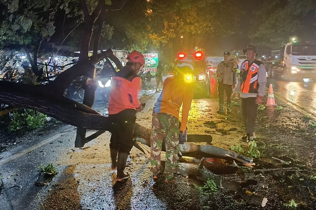 JALAN NASIONAL: Evakuasi pohon tumbang tutup separuh lajur jalan nasional, di Desa Legok, Kecamatan Gempol.