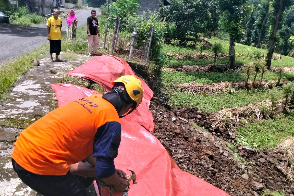 DITANGANI: Petugas BPBD Kabupaten Pasuruan memasang terpal pada TPT yang ambrol di Desa Sanganom, Kecamatan Nguling.