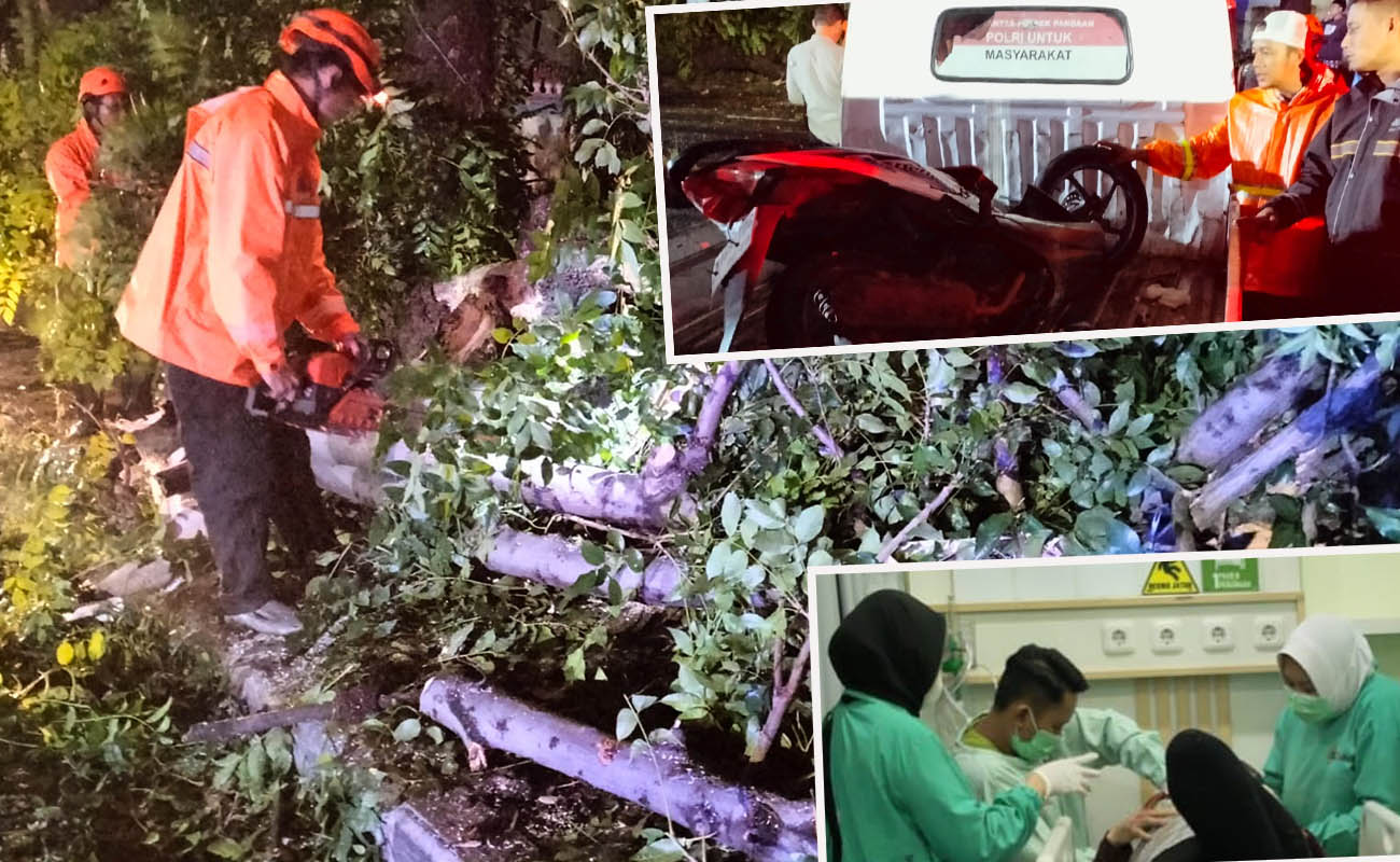 Petugas saat memotongi pohon tumbang di tepi jalan Pattimura Pandaan. Inset korban saat dirawat di RS dan motor korban ringsek tertimpa pohon tumbang. 