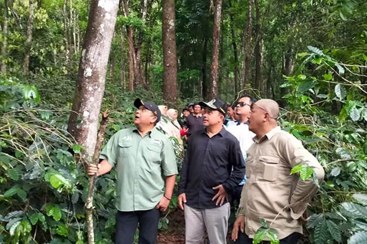 PENINJAUAN: Sejumlah anggota DPRD Kabupaten Pasuruan saat melakukan peninjauan lokasi beberapa waktu lalu, tempat yang rencanakanya akan dijadikan real estate.