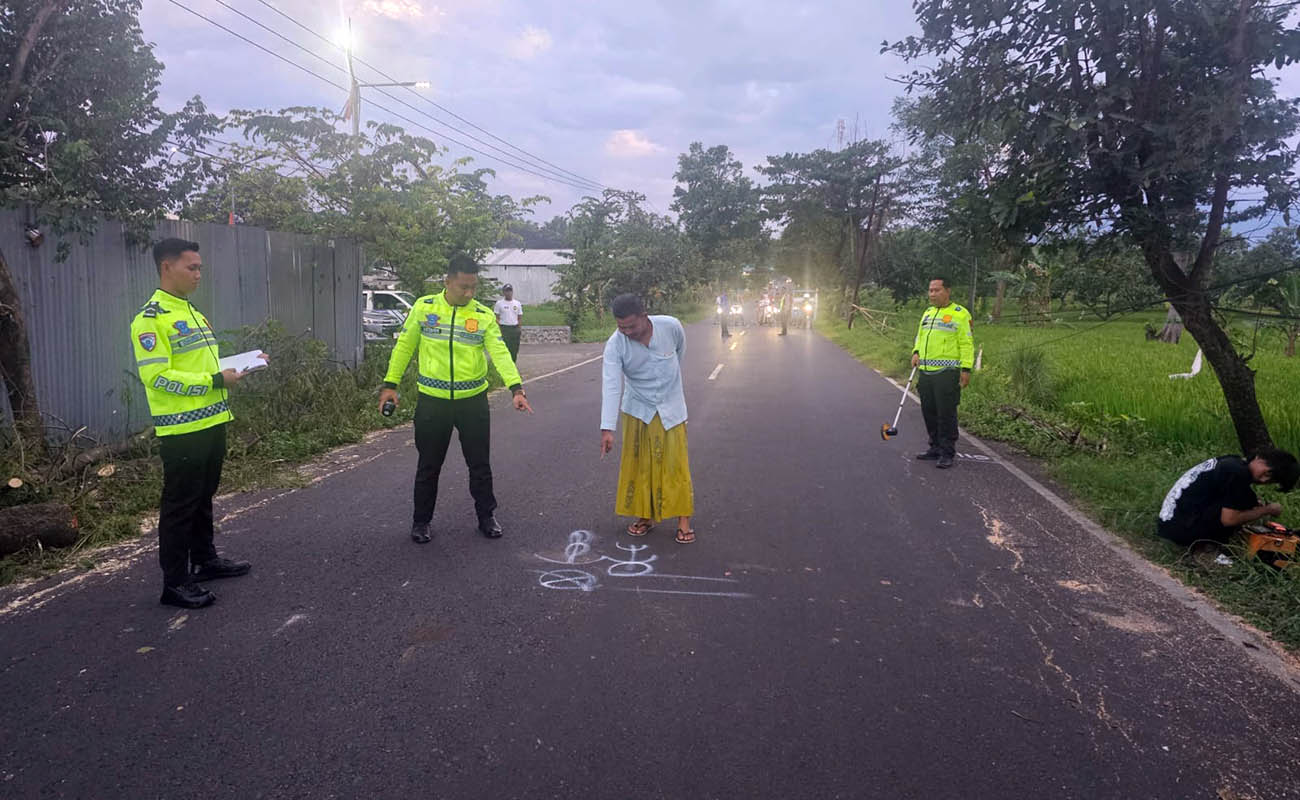Petugas kepolisian melakukan olah TKP di lokasi pohon tumbang yang menimpa ibu dan anak di Sukorejo, Kabupaten Pasuruan, Minggu sore (8/3).