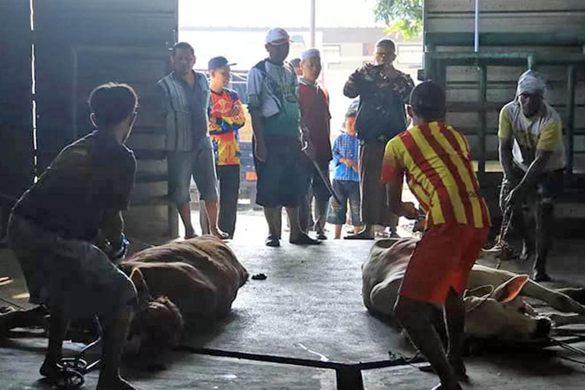 MENINGKAT: Aktivitas pemotongan hewan di RPH Blandongan, Kota Pasuruan. Sejauh ini, ada peningkatan permintaan pemotongan hewan di RPH setempat.