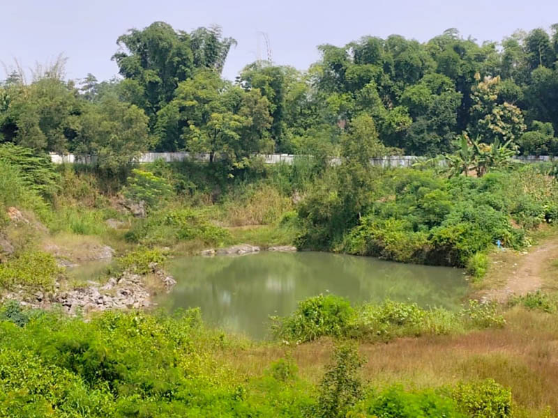 LOKASI KEJADIAN: Kubangan bekas galian tambang milik PT Gorip di Jeladri Winongan, tempat MSA tenggelam.