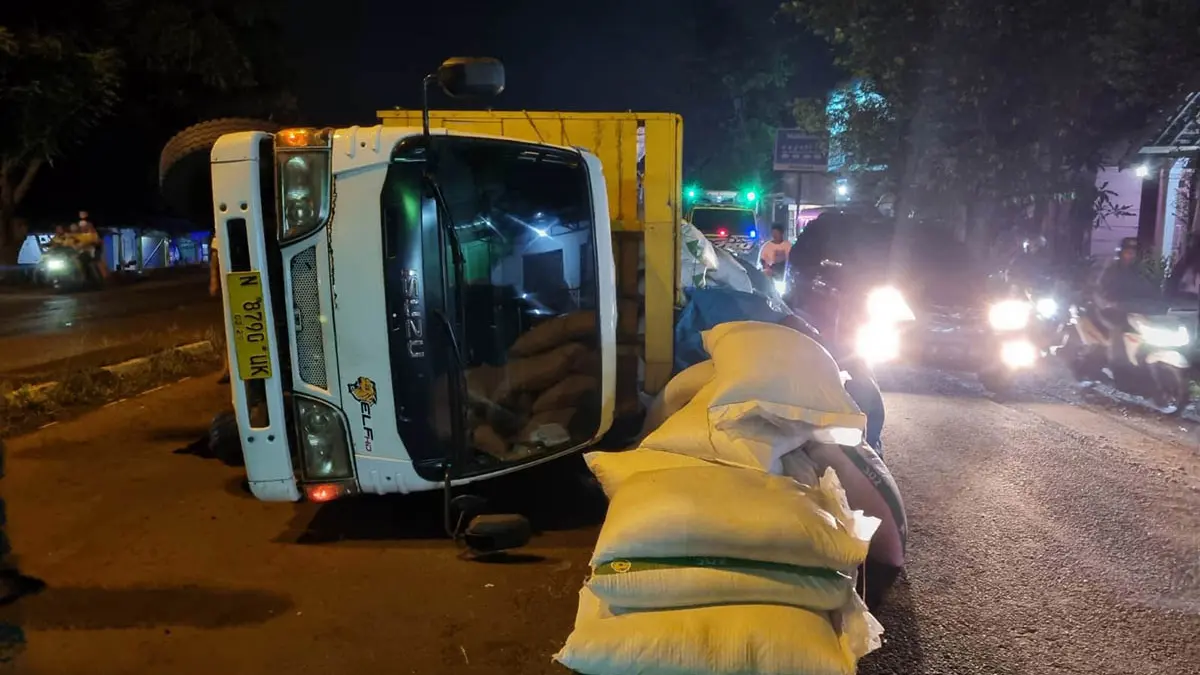 GULING: Truk muatan pakan yang terguling di Bendungan, Kecamatan Kraton, Kabupaten Pasuruan, Kamis (26/3). As roda yang patah, menjadi pemicu kecelakaan tunggal tersebut. (Polres Pasuruan Kota for Radar Bromo)