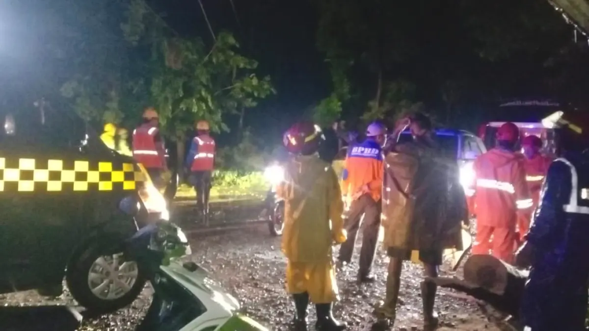 TUMBANG: Petugas gabungan mengevakuasi pohon tumbang di Jalur Pantura, Desa Karanggeger, Kecamatan Pajarakan, Jumat (27/3) malam. (BPBD FOR JAWA POS RADAR BROMO)