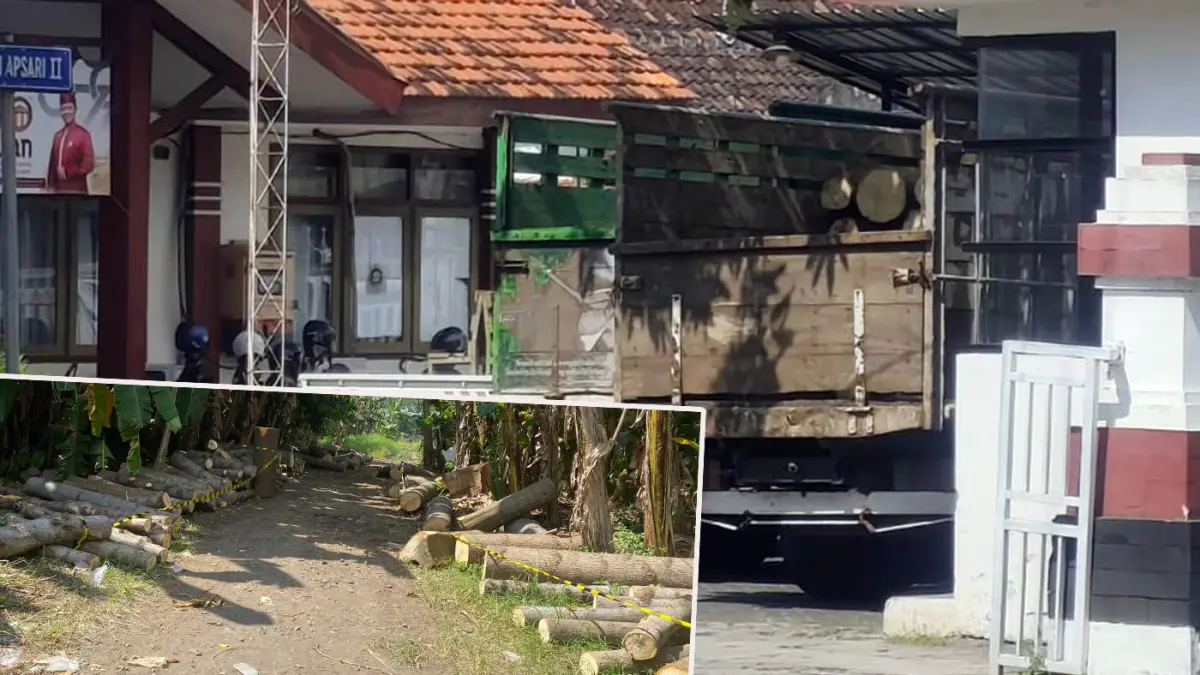 DIAMANKAN: Gelondongan kayu yang diamankan Satpol PP Kota Pasuruan, Kamis (2/4). (Mokhamad Zubaidillah/ Radar Bromo)