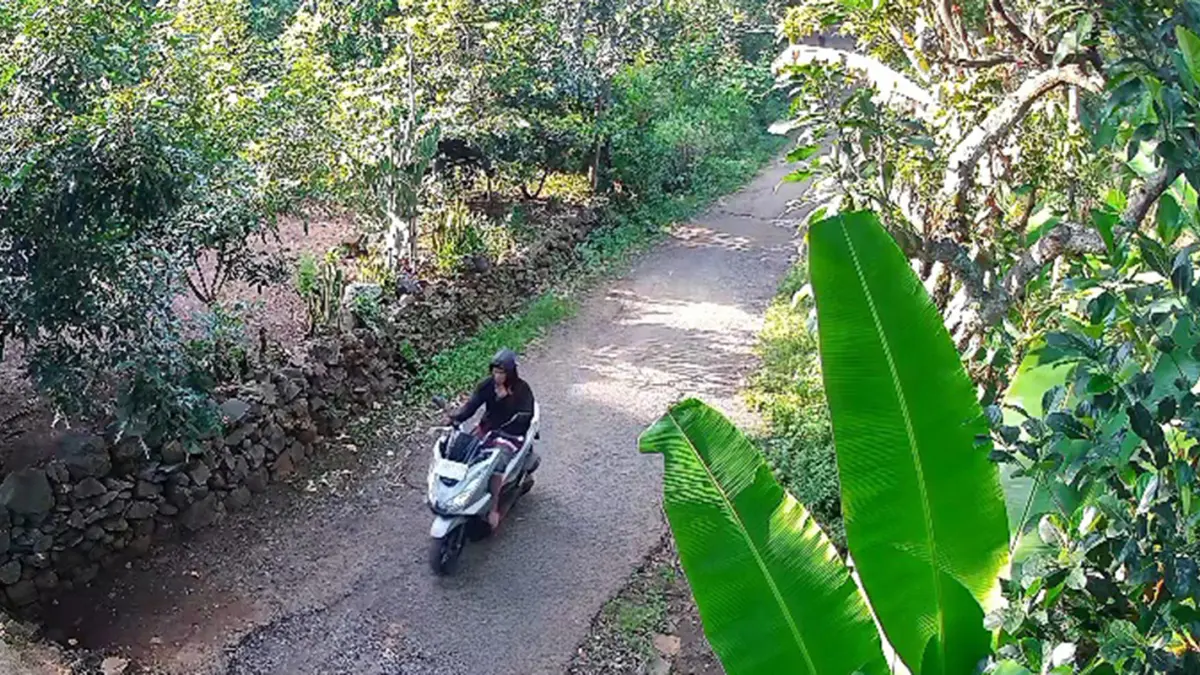 TERDUGA PELAKU: Terduga pelaku pembegalan motor milik guru SDN Petung 1, Afidah, 25, terekam CCTV saat kabur. Titik CCTV sekitar satu kilometer dari lokasi pembegalan di Dusun Gudang, Desa Galih, Pasrepan, Selasa (7/4) pagi. (Screenshoot)