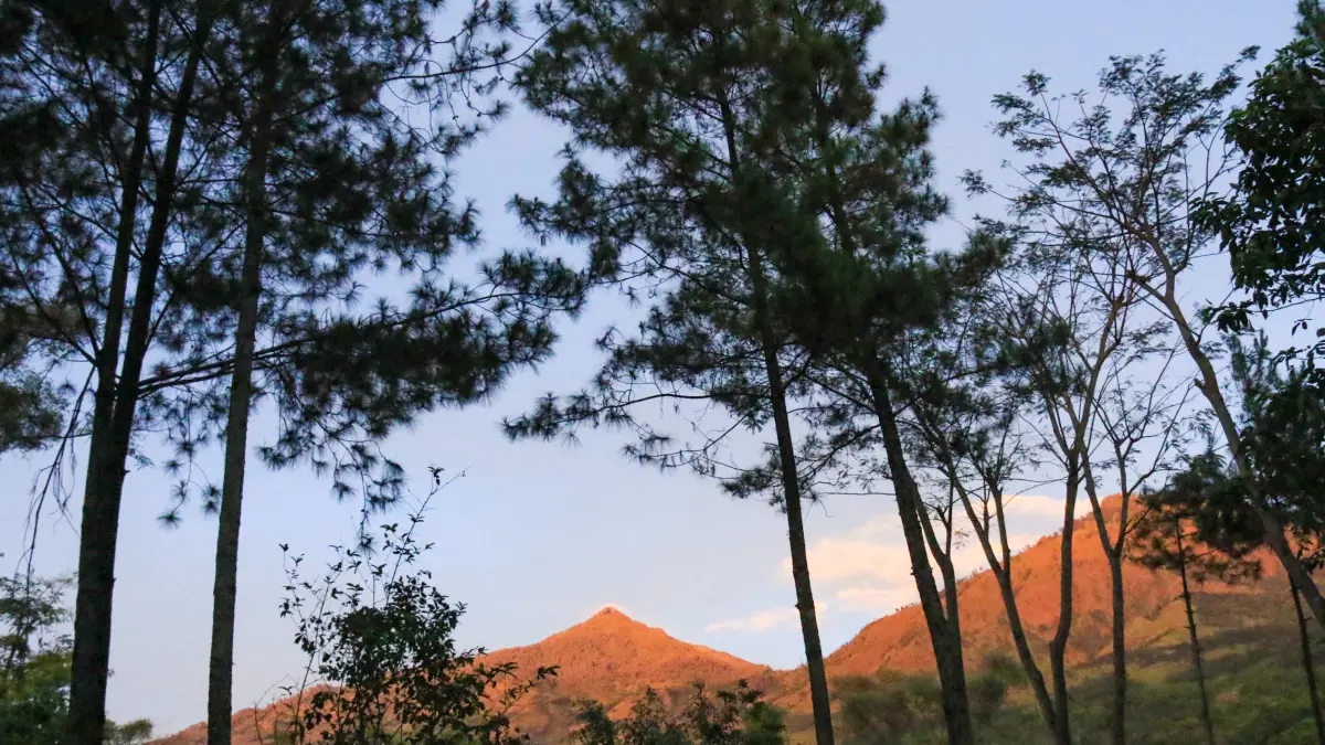 FAVORIT: Gunung Arjuno, salah satu gunung di Kawasan Taman Hutan Raya (Tahura) Raden Soerjo yang sering menjadi jujukan pendaki. (Mokhamad Zubaidillah/Jawa Pos Radar Bromo)