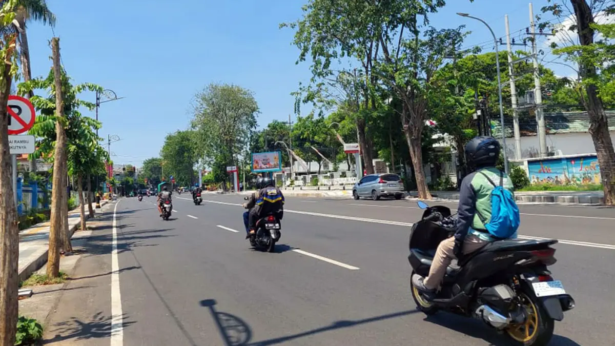 MENGERING: Deretan pohon Bungur di Jalan Soekarno-Hatta (Soetta) Kota Probolinggo kondisinya kering dan mati. Saat ini ada puluhan pohon Bungur di Jalan Soettar–Pangsud yang kering dan mati. (Arif Mashudi/ Radar Bromo)