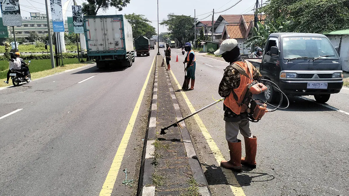 DIBERSIHKAN: Pekerja dari BBPJN saat melakukan pemotongan dan pembersihan rumput di median jalan. (Rizal Syatori/Radar Bromo)