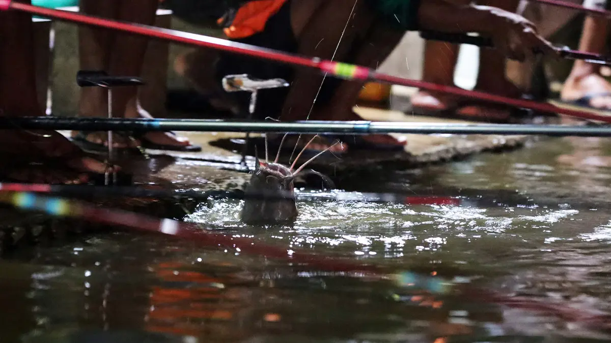 JADI PENGHUBUNG: Senar menjadi penghubung antara pemancing dan ikan di dalam air. (Mokhamad Zubaidillah/ Radar Bromo)