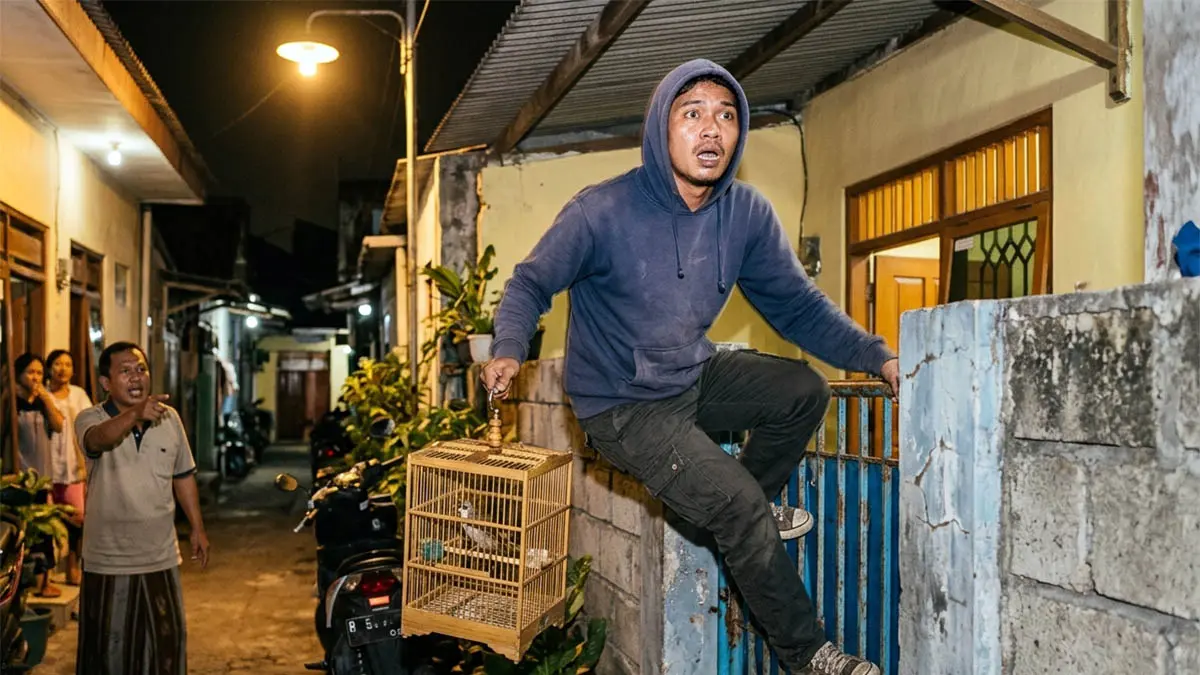 Ilustrasi maling burung. (Gemini AI)