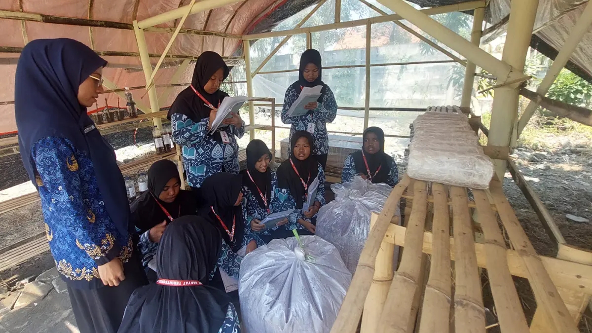 DIBEKALI SKILL: Siswi SRT 7 Kota Proboiinggo juga dibekali ilmu kewirausahaan. Seperti  cara budi daya jamur. (Arif Mashudi/ Radar Bromo) 