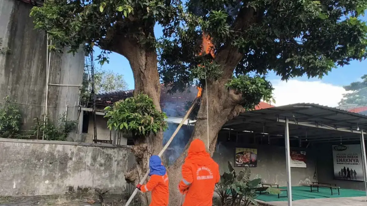 BAKAR: Tim Damkar Satpol PP Kota Probolinggo membakar sarang tawon vespa di sebuah restoran di Kecamatan Mayangan, Jumat (24/4) sore. (DAMKAR SATPOL PP KOTA PROBOLINGGO FOR JAWA POS RADAR BROMO)