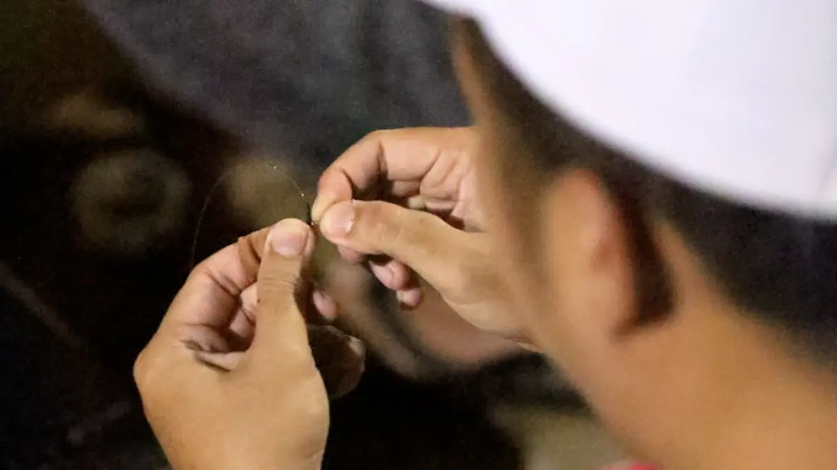 RAPI: Ikatan kail yang rapi dan kencang menentukan kekuatan saat menahan tarikan ikan.